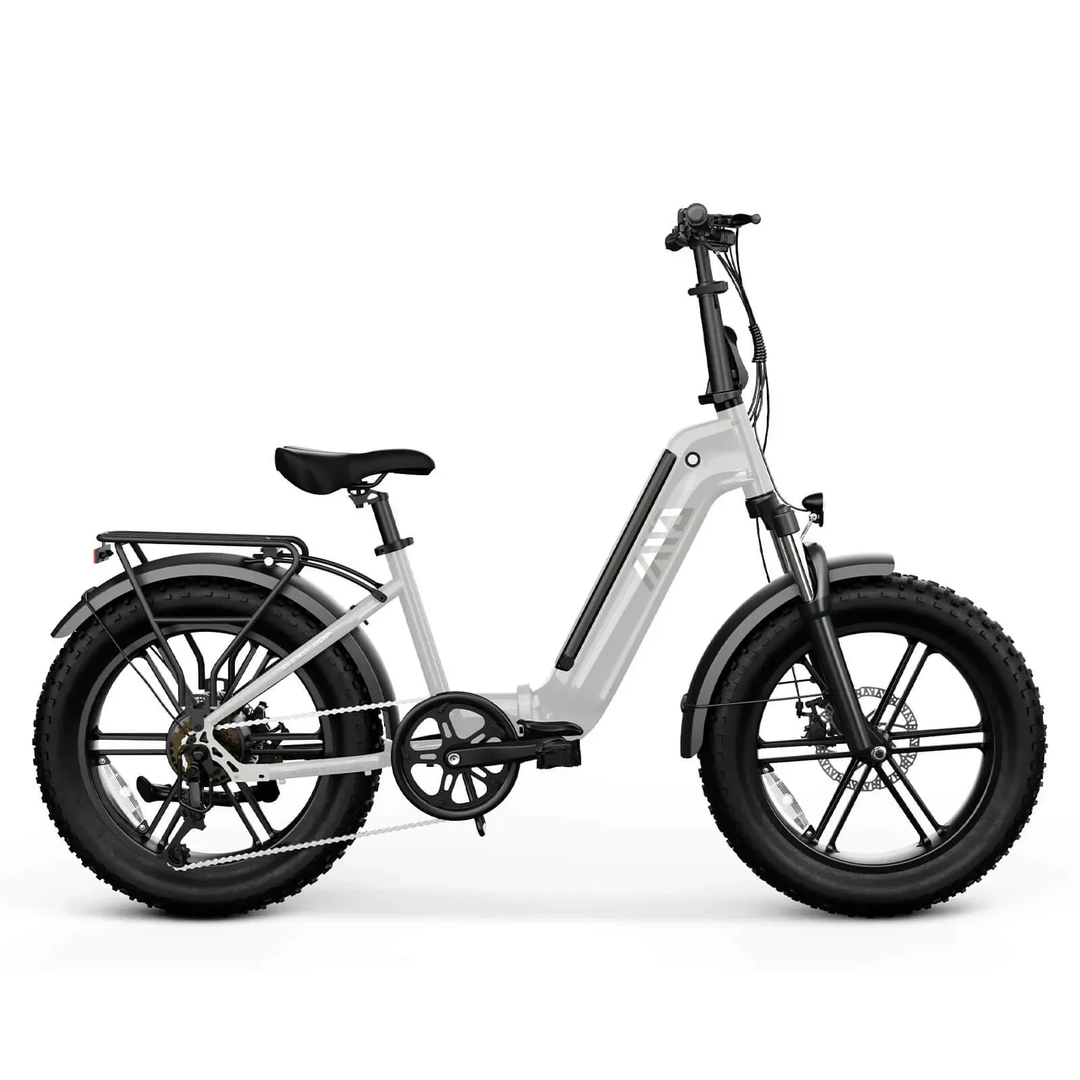 BUDDY PRO product detail 1